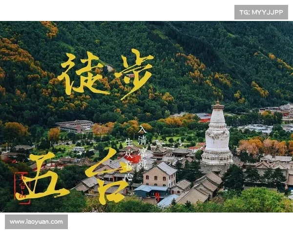 最强大脑:开启智慧之旅 最强大脑:开启智慧之旅