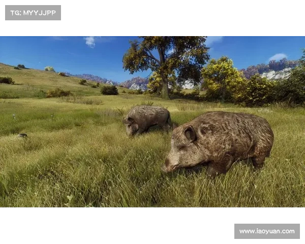 猎人之道:巧手制造宠物 猎人之道:巧手制造宠物