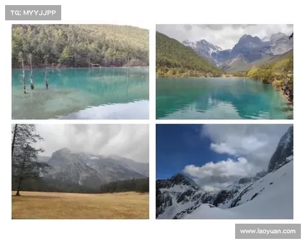 语言山谷攻略(语言山谷试炼：探索语言之峰：征服语言山谷攻略全书)